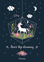 Тетрадь общая. Never stop dreaming! (А5, 48 л., мягкая обложка)