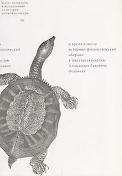 И время и место: Историко-филологический сборник к шестидесятилетию Александра Львовича Осповата