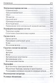 Анатомия человека в таблицах и схемах: учеб. пособие - 2