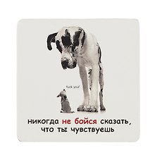 Сувенир МАГНИТИК Магнит 6,5*6,5см "Приколы": "Никогда не бойся сказать..."