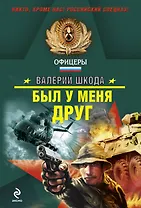 Был у меня друг: роман