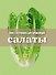 Книга Гастронома для начинающих. Салаты - 0