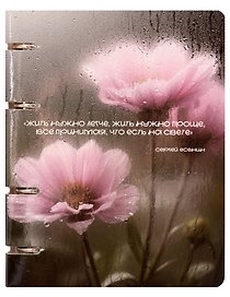 Тетрадь 80л кл. "После дождя.1" на кольцах, мел.картон, глянц.ламинация, квадр.корешок, скругл.углы