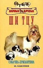 Ши тцу. Собачка-хризантема