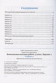 Комплексная итоговая работа. 4 класс. Вариант 1. Тетрадь 2. Практическое пособие для начальной школы - 1