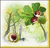 Наб. салф. для декупажа Птицы/Орехи (531073/OISE) (2шт) (упаковка)