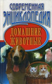 Домашние животные