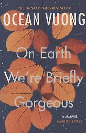 On Earth Were Briefly Gorgeous