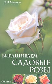 Выращиваем садовые розы