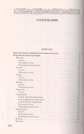 Ближний круг Саддама Хусейна: Воспоминания личного врача