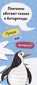 Удивительные животные. Книжка-веер для детей - 2
