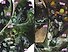 Джокер. 80 лет знаменитому злодею (лимитированное издание) - 2