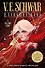 Extraordinary Graphic Novel - 1