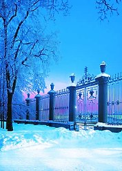 Открытка с видами (СПб) Зима.Решетка Летнего сада [SPB-042]