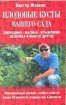 Плодовые кусты вашего сада