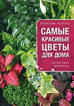 Самые красивые цветы для вашего дома