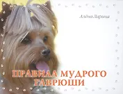 Правила мудрого Гаврюши