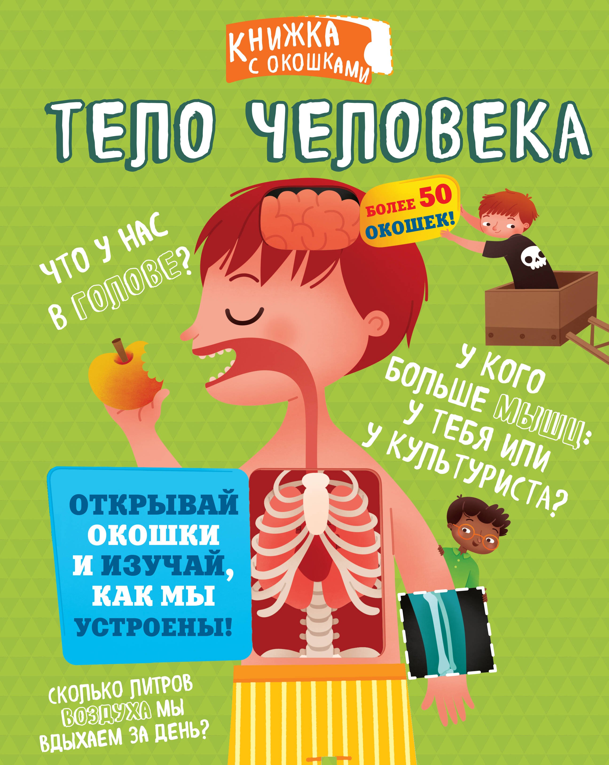 

Тело человека