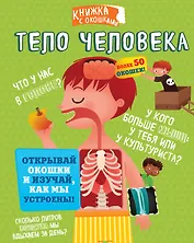 Тело человека