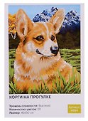 Картина по номерам Art Idea 40*50см. Корги на прогулке H094 - 0