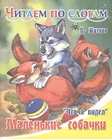 Маленькие собачки.