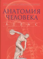 Анатомия человека Атлас Как работает наше тело Самый полный справочник (Абрахамс)