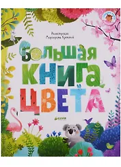 Большая книга. Цвета