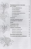 Виноград.Выращивание в средней полосе России.Выбор сорта.Посадка и уход.Подготовка к зиме - 2