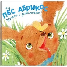 Пес Абрикос изучает и запоминает