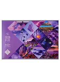 Альбом для рисования «Color of life» BG А4, 40 листов, скрепка, в ассортименте