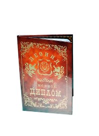 Диплом именной «Леонид», Мастер
