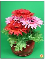 Танцующие цветы (40082)