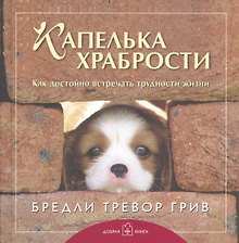 Лучшему другу. Капелька храбрости. Как достойно встречать трудности жизни (комплект из 3 книг)