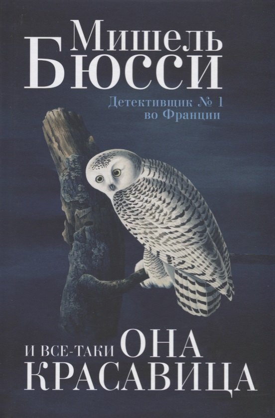

И все-таки она красавица: роман
