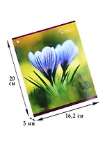 Тетрадь в клетку Unnika, "Мир цветов", 48 листов, в ассортименте