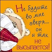 Магнит (0105.327) (Не будите во мне зверя…) картон