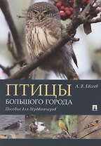 Птицы большого города. Пособие для бёрдвотчеров