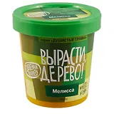 Набор для опытов и экспериментов Набор Вырасти дерево! Мелисса zk-035