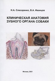 Клиническая анатомия зубного органа собаки. Учебно-методическое пособие