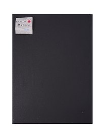 Картон графитовый 05шт 25*35 грунтованный эмульс.грунтом, для пастельн.живописи
