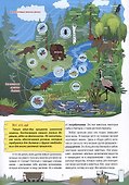 Активити-викторина. Просто о лесе - 2