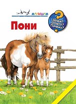 Пони