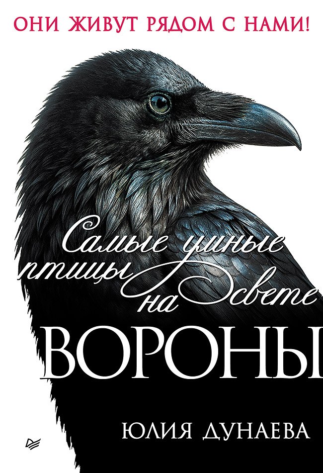 

Самые умные птицы на свете. Вороны