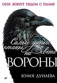 Самые умные птицы на свете. Вороны - 0