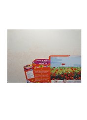 Набор Роспись холста по номер. Маковый луг (26171) (40х50см) (краски/20цв.+3 кисточки+петли) (7+) (упаковка)