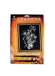 Гравюра Цветы Зефирантес (эффект серебра) (Гр-500) (Кот Муар) (6+) (блистер)
