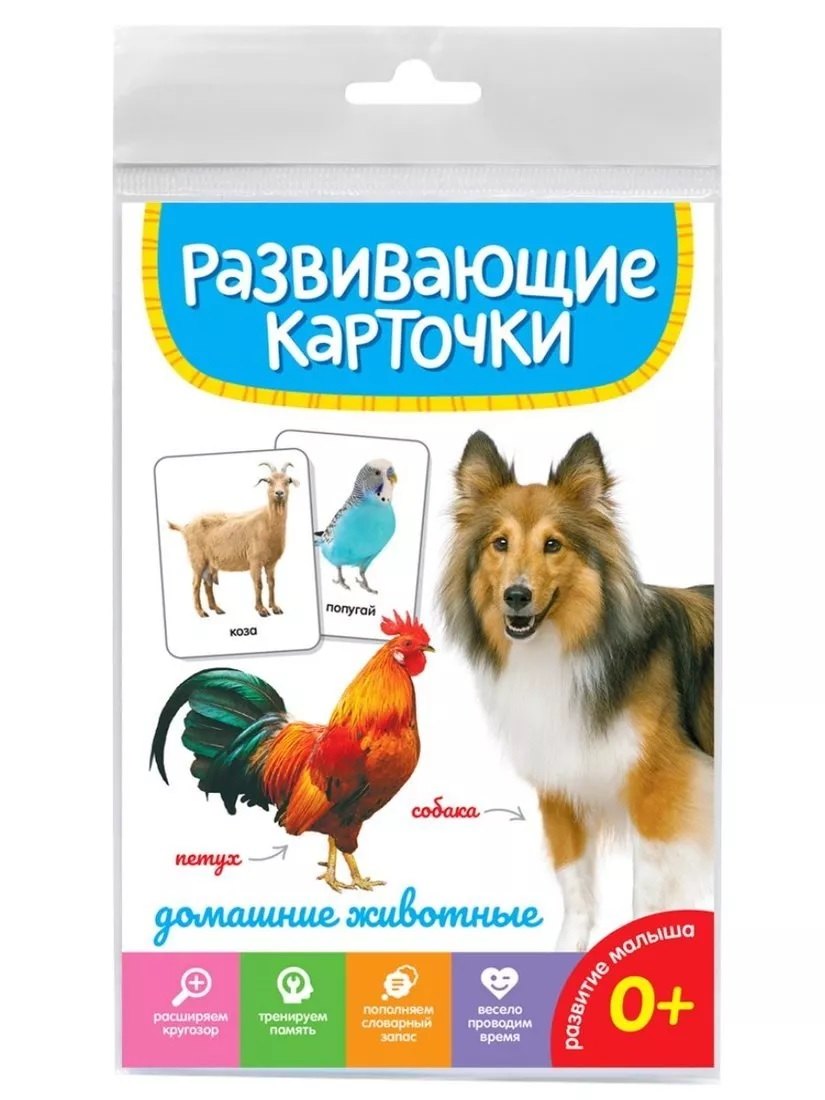 

Домашние животные. Развивающие карточки