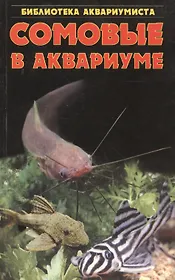 Сомовые в аквариуме