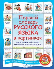 Первый словарь английского языка в картинках / Первый словарь русского языка в картинках. Фразеологический словарь. Словарь пословиц и поговорок