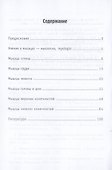 Анатомия человека. Миология: атлас-пособие - 2